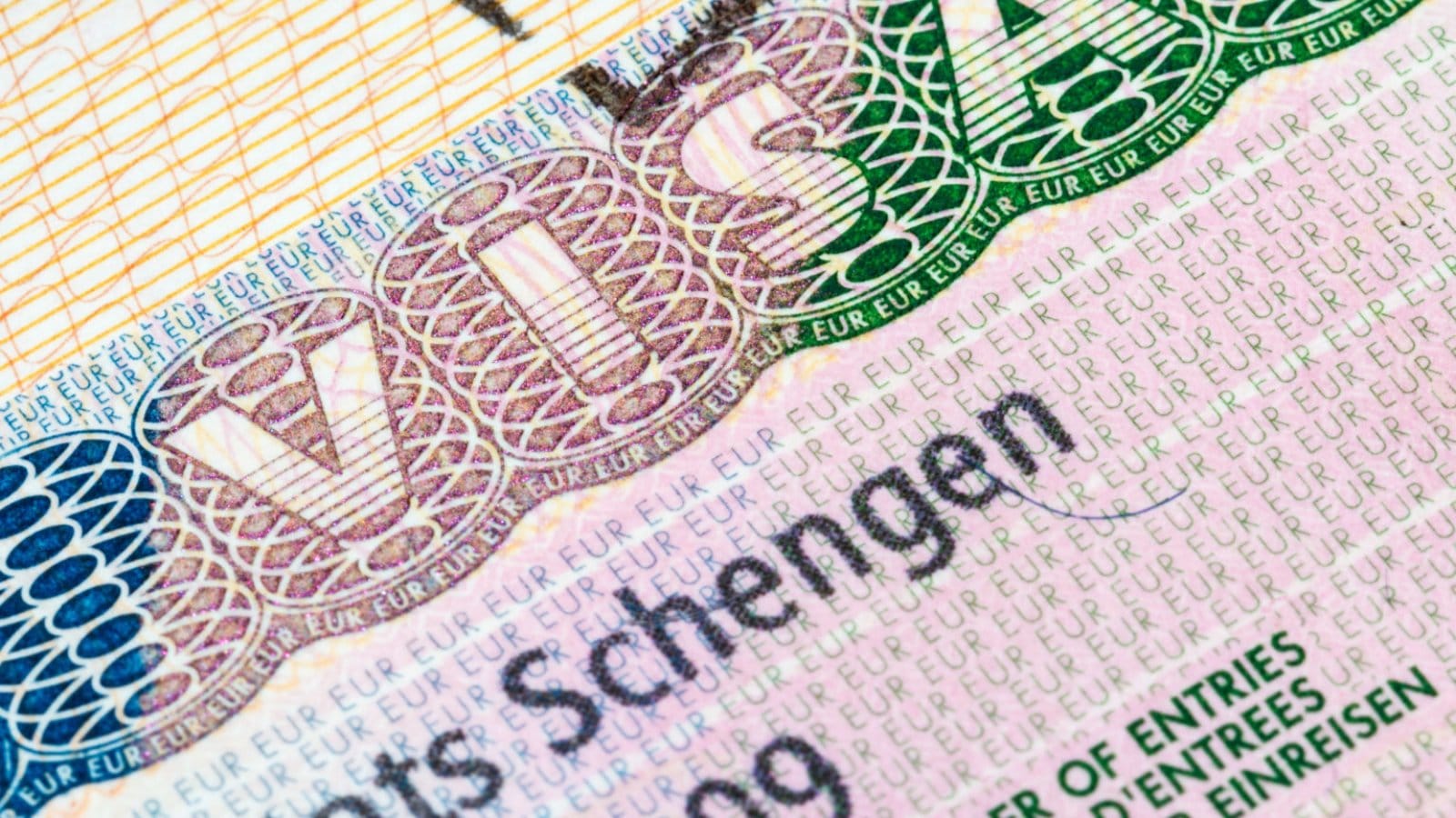 Названы два новых варианта оформления шенгенской визы в России: цена, в каких городах можно сделать
