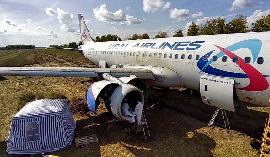 Два босса «Уральских авиалиний» могут быть уволены: они ответят за посадку самолета в поле под Новосибирском