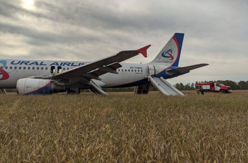 Два босса «Уральских авиалиний» могут быть уволены: они ответят за посадку самолета в поле под Новосибирском