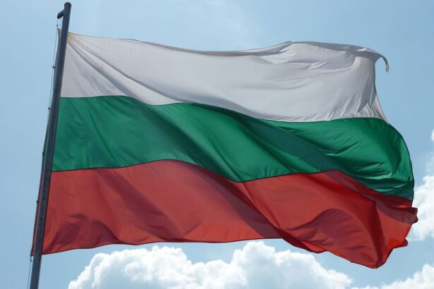 Визовые центры Болгарии в России приостановят прием документов