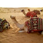 Туристы просят скидки на туры в ОАЭ и Египет на фоне конфликта на Ближнем Востоке