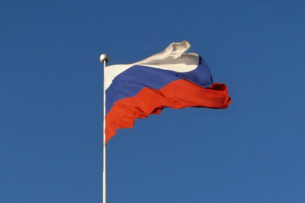 Госдума увеличила срок действия электронной визы в РФ