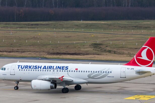 Из-за нарушений прав пассажиров число рейсов Turkish Airlines в РФ может сократиться