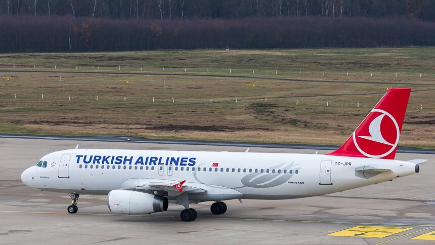 Из-за нарушений прав пассажиров число рейсов Turkish Airlines в РФ может сократиться
