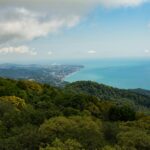 Роспотребнадзор не выявил загрязнений морской воды на пляжах Сочи