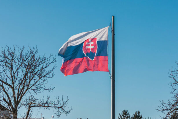 У россиян снова стали принимать заявления на туристическую визу в консульстве Словакии