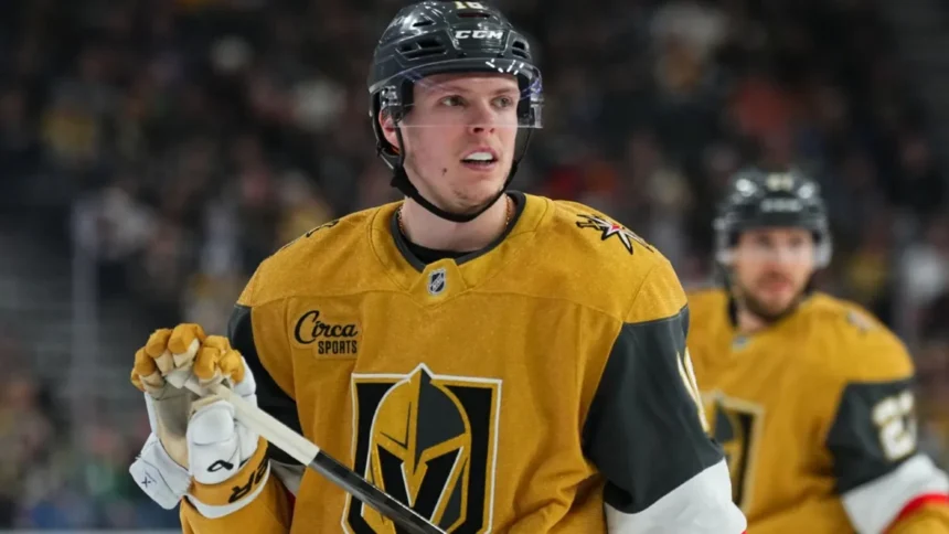 «Вегас» разгромил «Сан-Хосэ»: Дорофеев и Барбашев оформили по два ассиста «Вегас» разгромил «Сан-Хосэ»: Дорофеев и Барбашев оформили по два ассиста