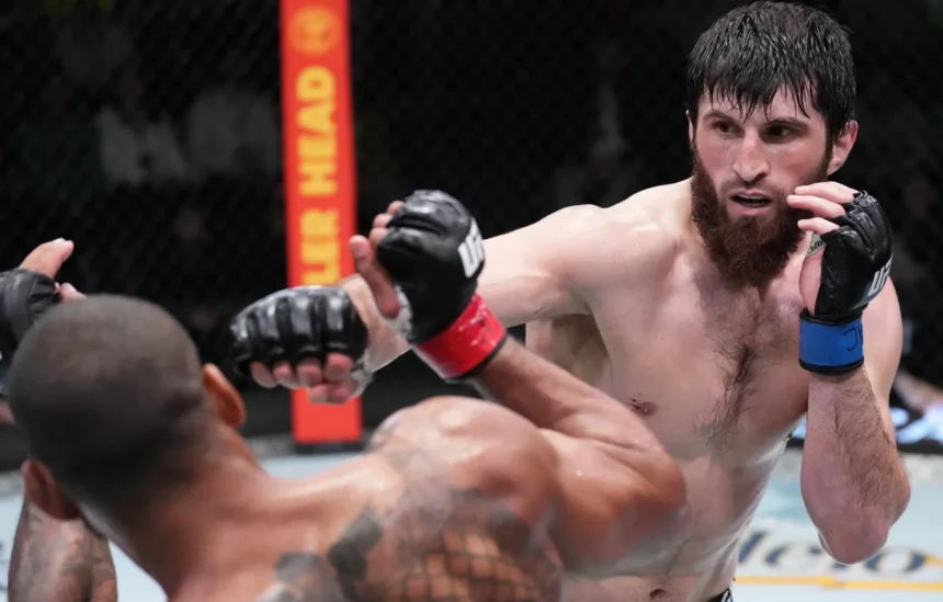 Анкалаев объявил о следующем бое в UFC: «Соскучился по тому, как всех вырубал» Анкалаев объявил о следующем бое в UFC: «Соскучился по тому, как всех вырубал»